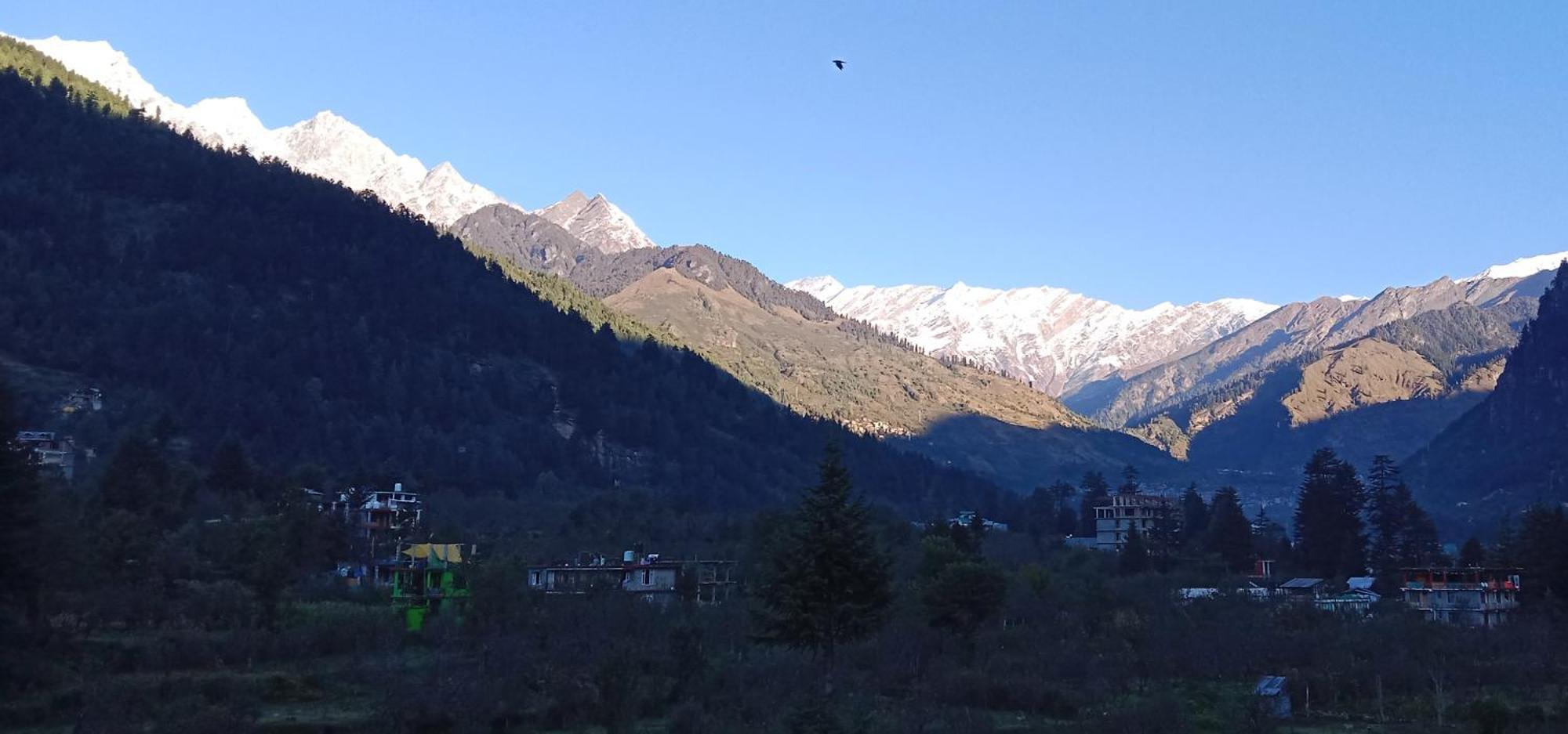 Hotel Apple Flower Manali (Himachal Pradesh) Exterior photo