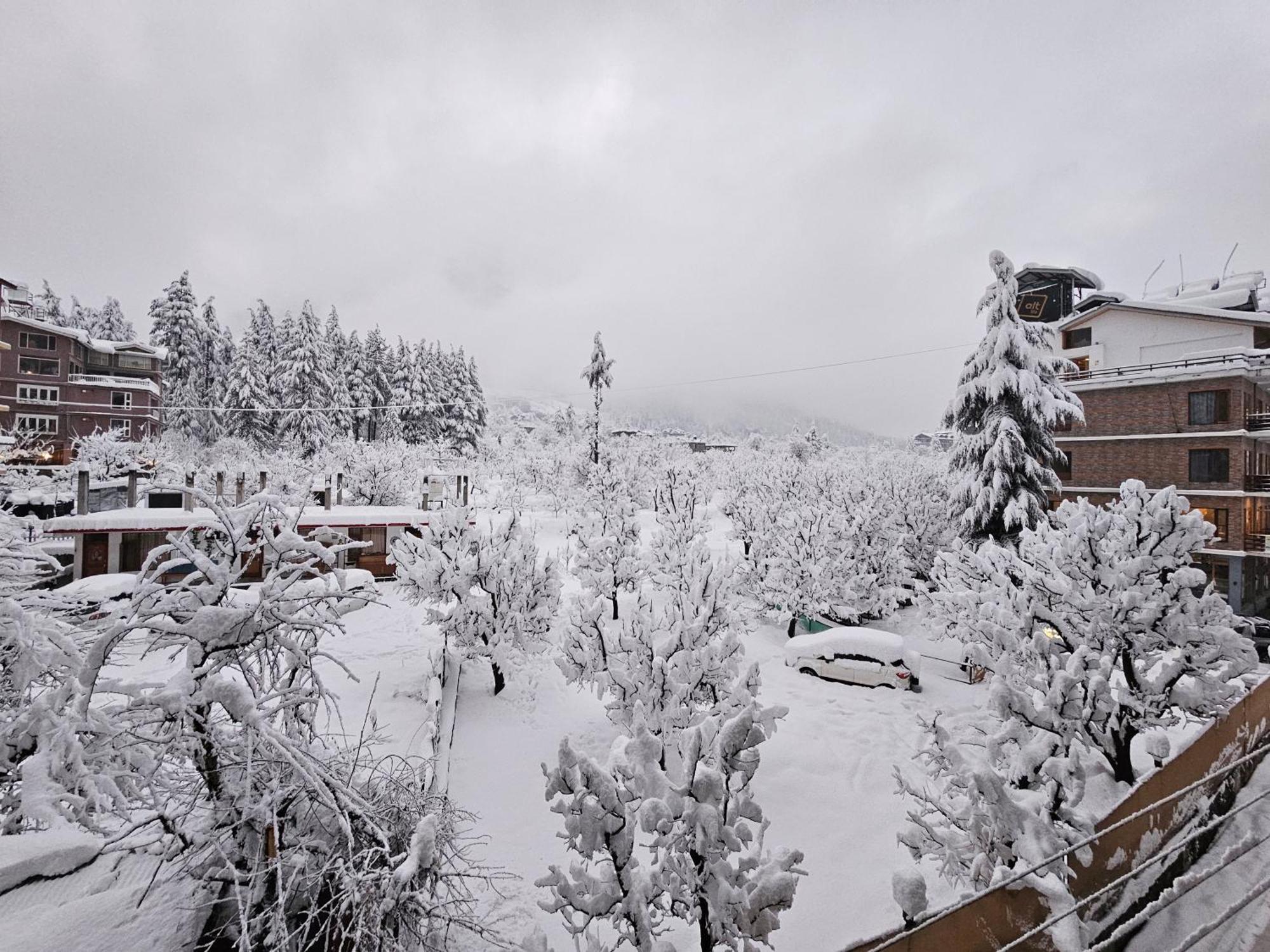 Hotel Apple Flower Manali (Himachal Pradesh) Exterior photo